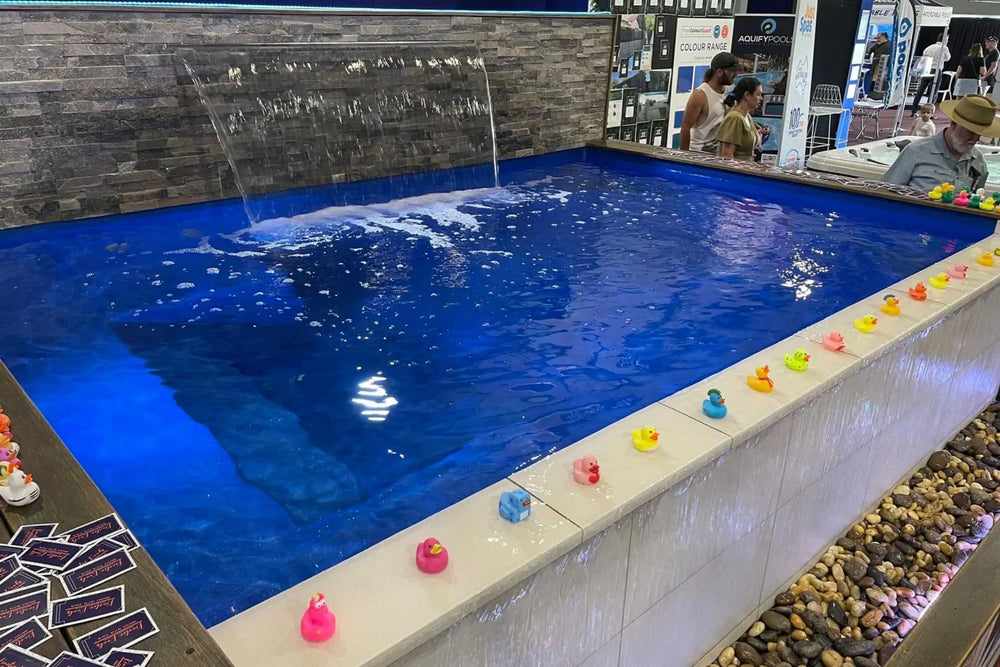 Best Pool Shells in Australia | Explore Sizes, Shapes & Colours